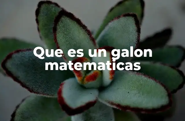 Que es un Galon Matematicas