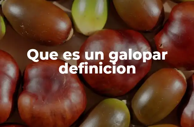 El galope como uno de los movimientos básicos del caballo