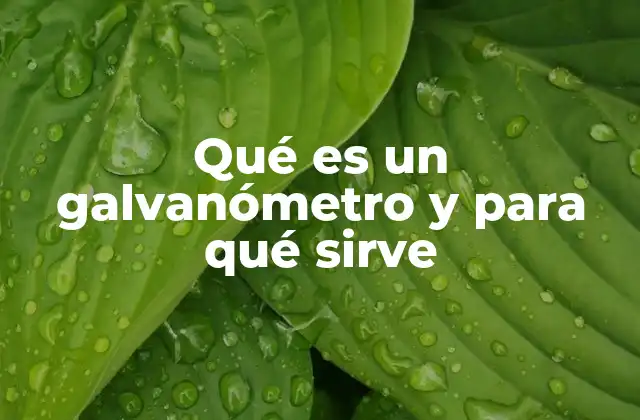 Funcionamiento interno de un galvanómetro