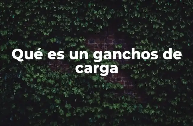 Qué es un Ganchos de Carga