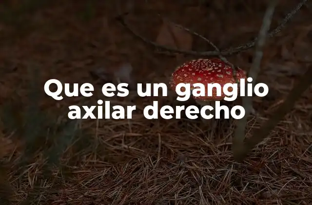 La importancia anatómica de los ganglios axilares