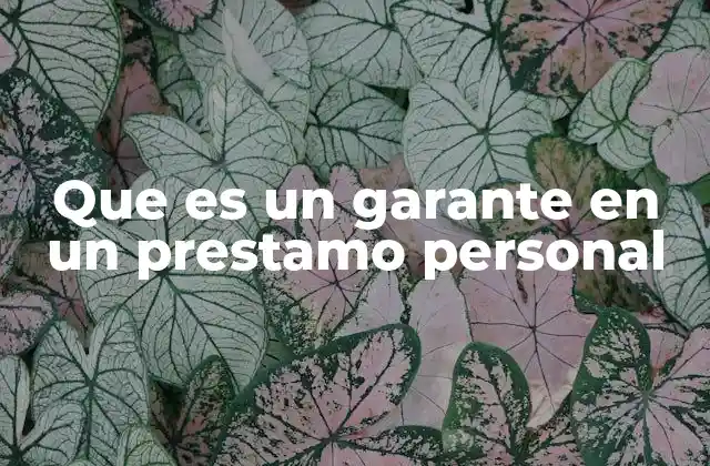 Que es un Garante en un Prestamo Personal
