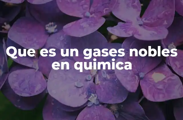 Que es un Gases Nobles en Quimica