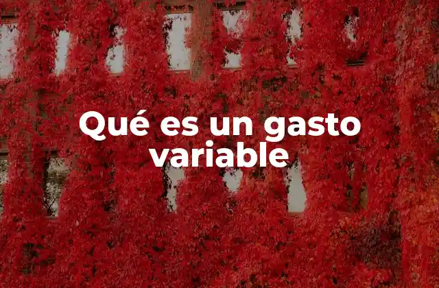 Qué es un Gasto Variable