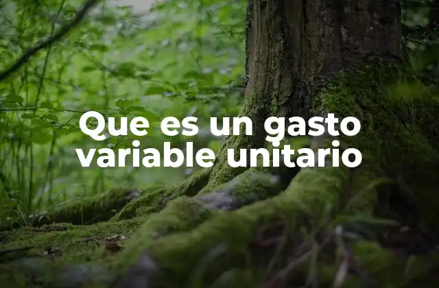 La relación entre producción y gastos en el contexto empresarial