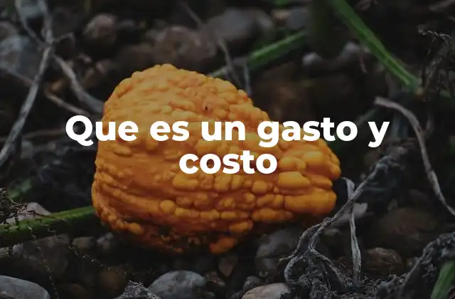 Que es un Gasto y Costo