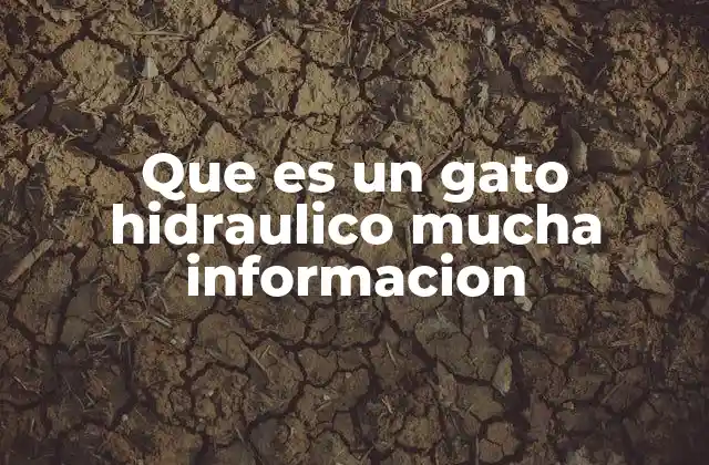 Funcionamiento de los gatos hidráulicos