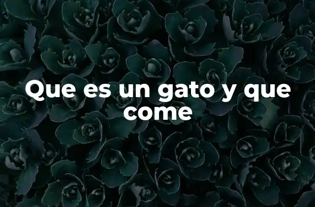 Que es un Gato y que Come