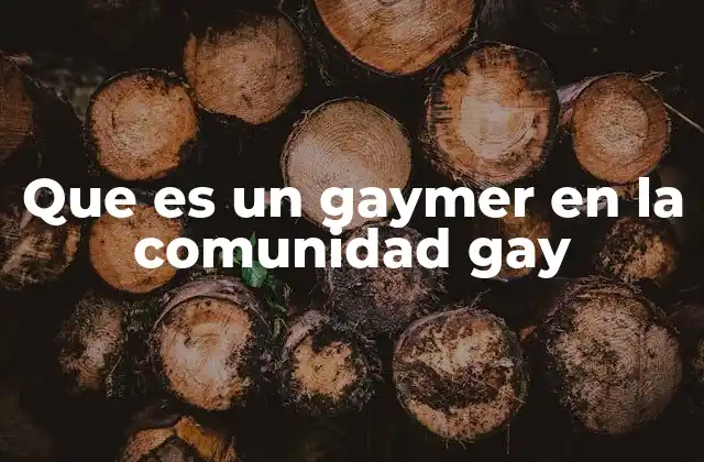 Que es un Gaymer en la Comunidad Gay