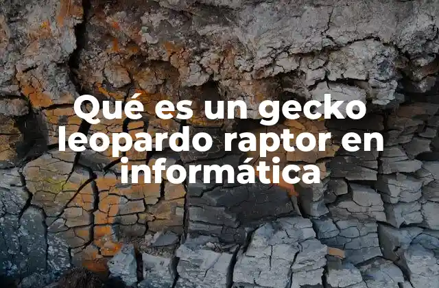 Qué es un Gecko Leopardo Raptor en Informática