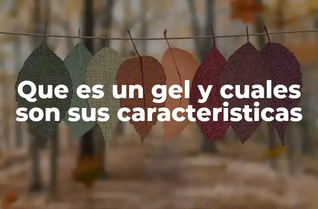 Que es un Gel y Cuales Son Sus Caracteristicas