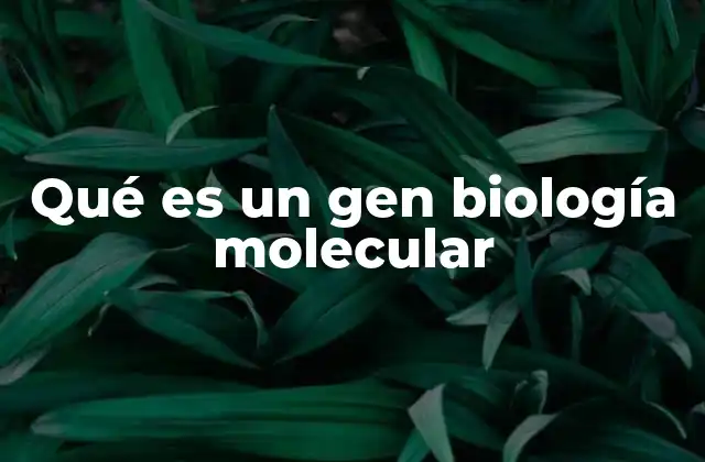 Qué es un Gen Biología Molecular 23 La estructura y función de los genes en el ADN