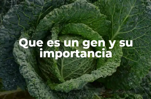 Que es un Gen y Su Importancia