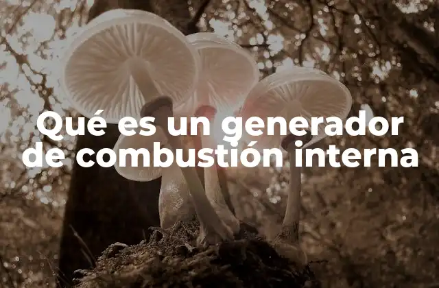 Cómo funciona un sistema de generación de energía mediante combustión