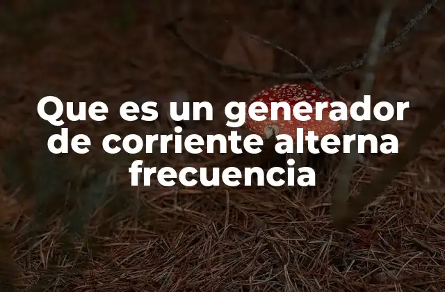 Que es un Generador de Corriente Alterna Frecuencia 2 El funcionamiento interno de los generadores de corriente alterna