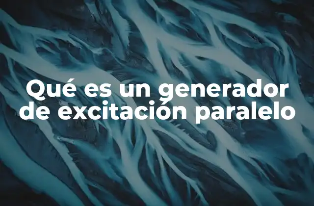 Qué es un Generador de Excitación Paralelo