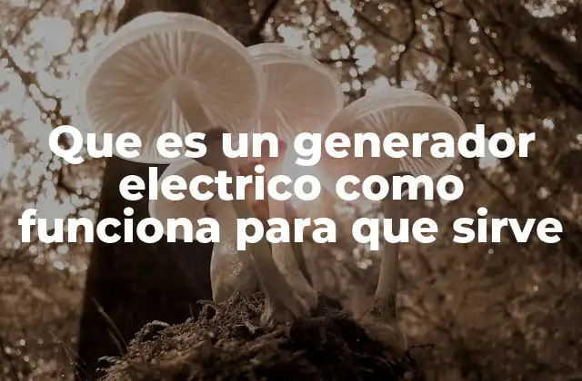 Que es un Generador Electrico como Funciona para que Sirve 2 Funcionamiento del generador eléctrico sin mencionar directamente el término