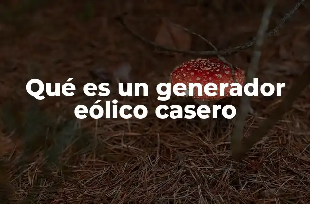 Qué es un Generador Eólico Casero 2 Cómo funciona un generador eólico casero