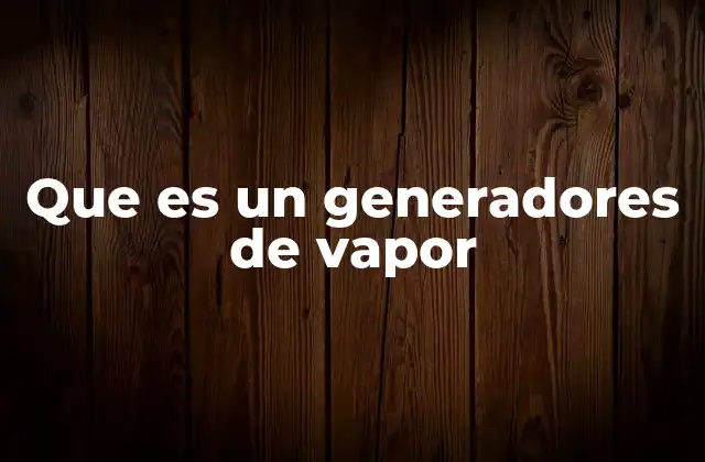 Que es un Generadores de Vapor