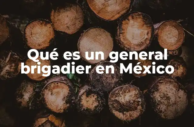 Qué es un General Brigadier en México
