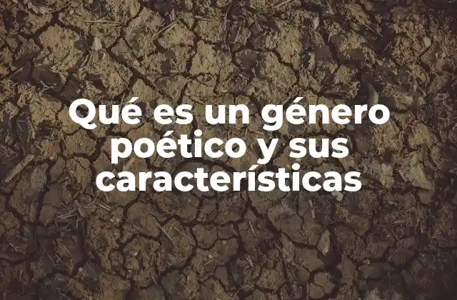 Qué es un Género Poético y Sus Características