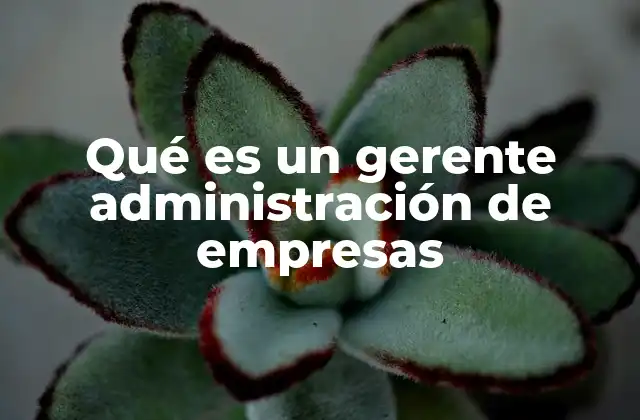Qué es un Gerente Administración de Empresas