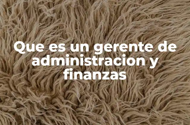 Que es un Gerente de Administracion y Finanzas
