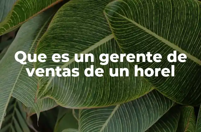 Que es un Gerente de Ventas de un Horel