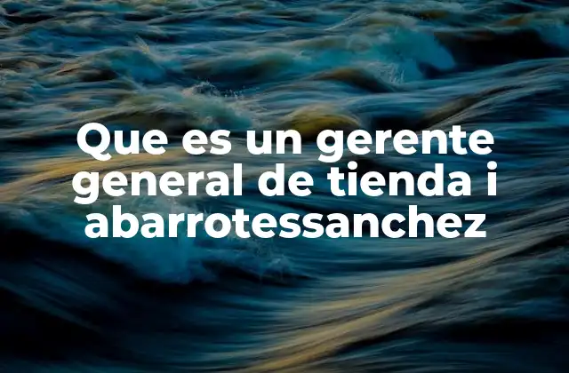 Que es un Gerente General de Tienda I Abarrotessanchez