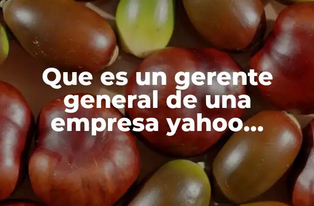 Que es un Gerente General de una Empresa Yahoo Respuestas