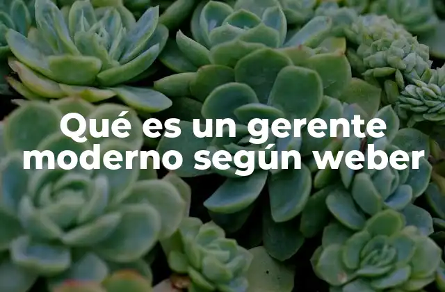 Qué es un Gerente Moderno según Weber