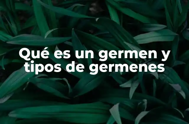 Clasificación de los microorganismos patógenos