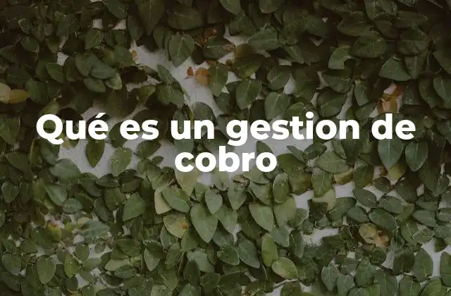 Qué es un Gestion de Cobro