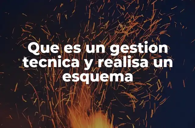 Que es un Gestion Tecnica y Realisa un Esquema