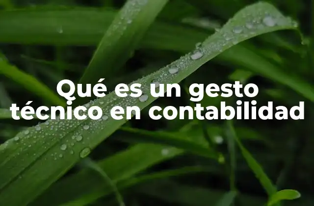 Qué es un Gesto Técnico en Contabilidad