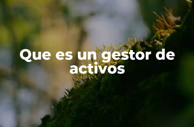 Que es un Gestor de Activos