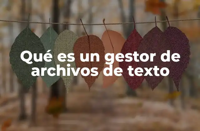 Qué es un Gestor de Archivos de Texto