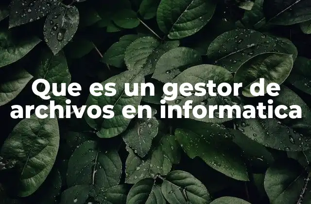 Que es un Gestor de Archivos en Informatica 2 La importancia de la organización digital en la gestión de archivos
