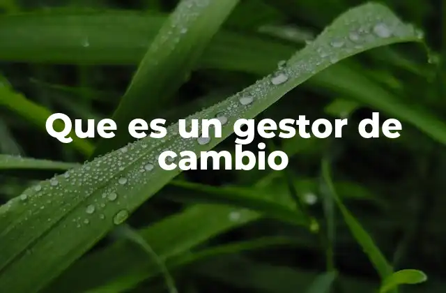 Que es un Gestor de Cambio