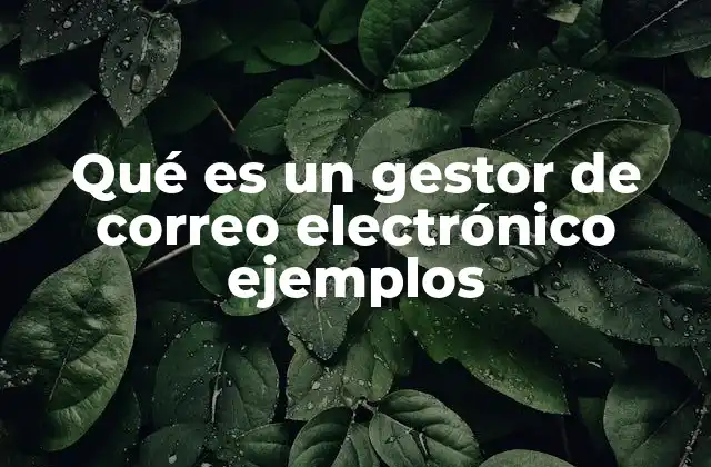 Qué es un Gestor de Correo Electrónico Ejemplos