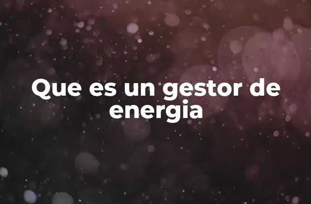Que es un Gestor de Energia