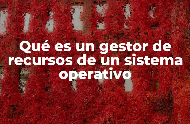 Qué es un Gestor de Recursos de un Sistema Operativo