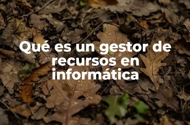 Qué es un Gestor de Recursos en Informática