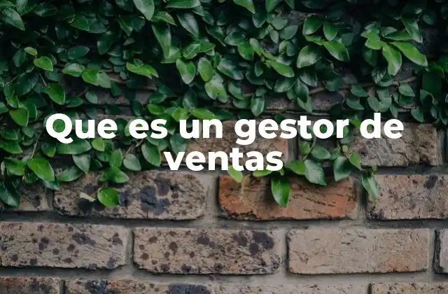 Que es un Gestor de Ventas