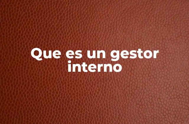 Que es un Gestor Interno