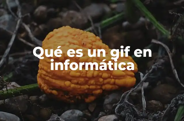 Qué es un Gif en Informática