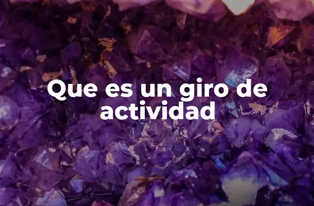 Que es un Giro de Actividad