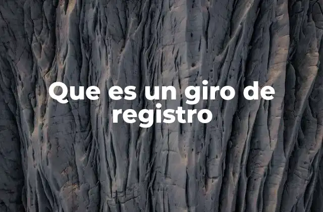 Que es un Giro de Registro