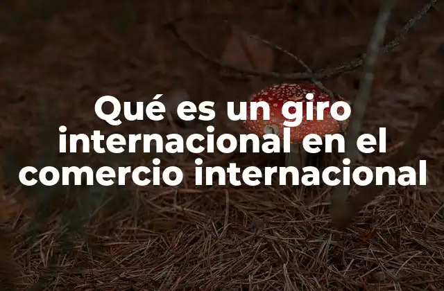 Qué es un Giro Internacional en el Comercio Internacional
