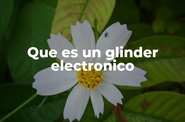 Que es un Glinder Electronico